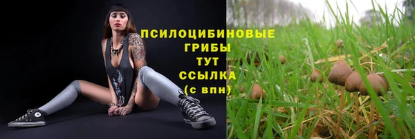 ECSTASY Алексин