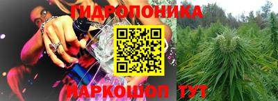 хмурый Свободный
